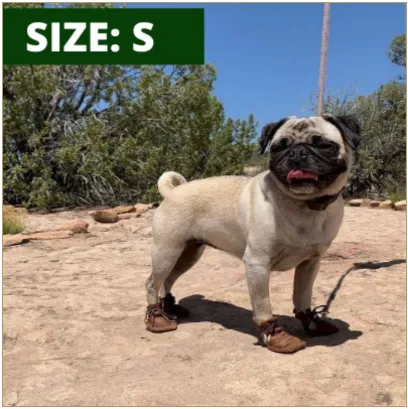 1 Pair of Dog Mocs (Sold in pairs) - Black