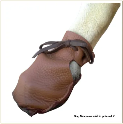 1 Pair of Dog Mocs (Sold in pairs) - Classic Brown
