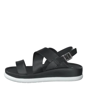 97-09095 Black
