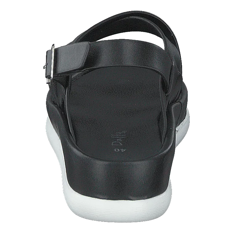 97-09095 Black