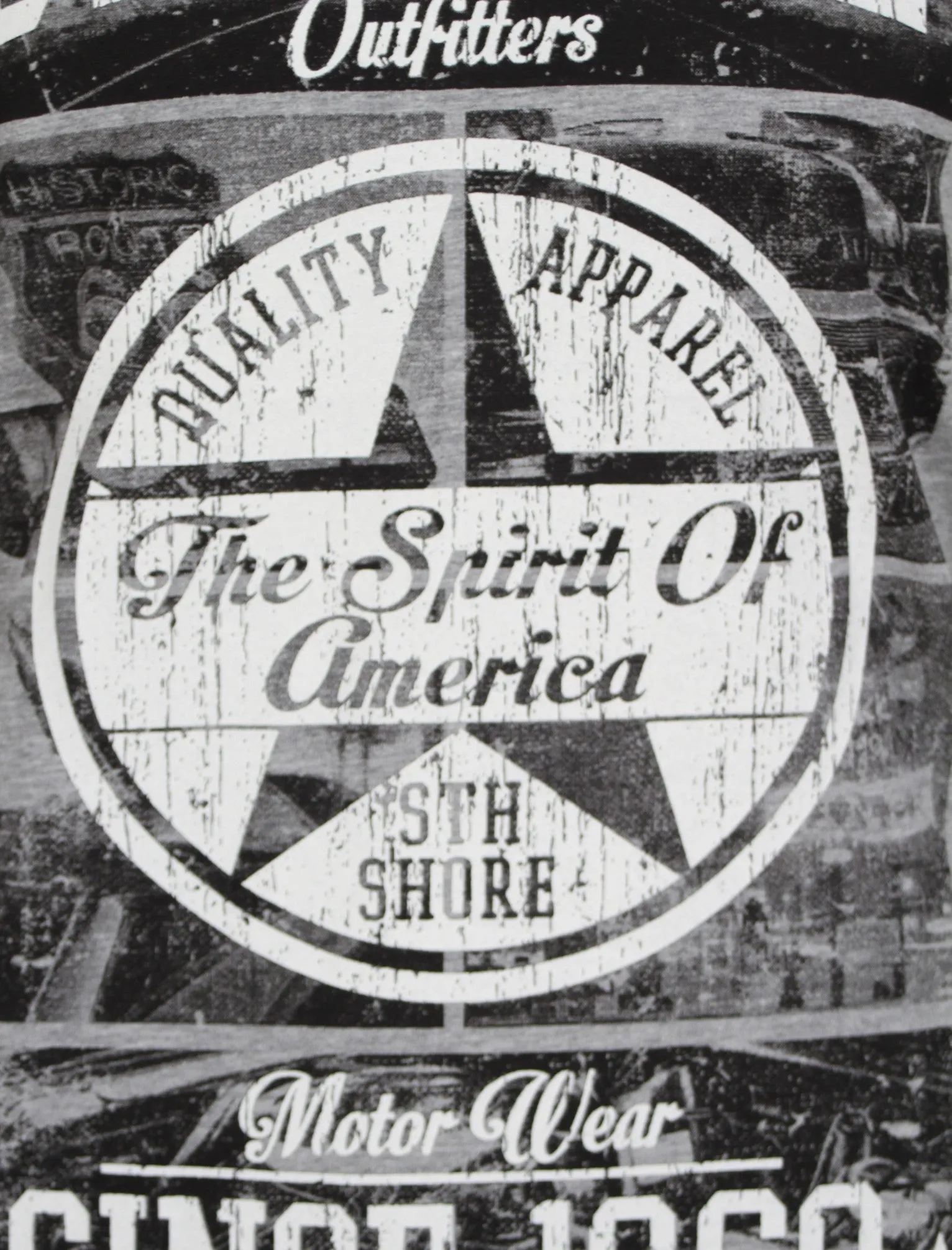 Print T-Shirt in Light Grey  - South Shore