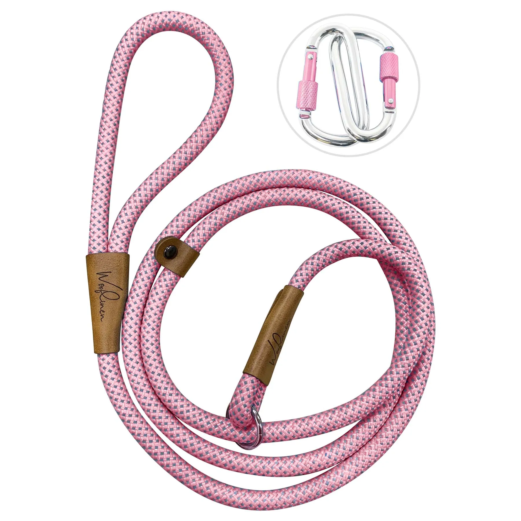 Ultra Reflective 6' Dog Slip Leash