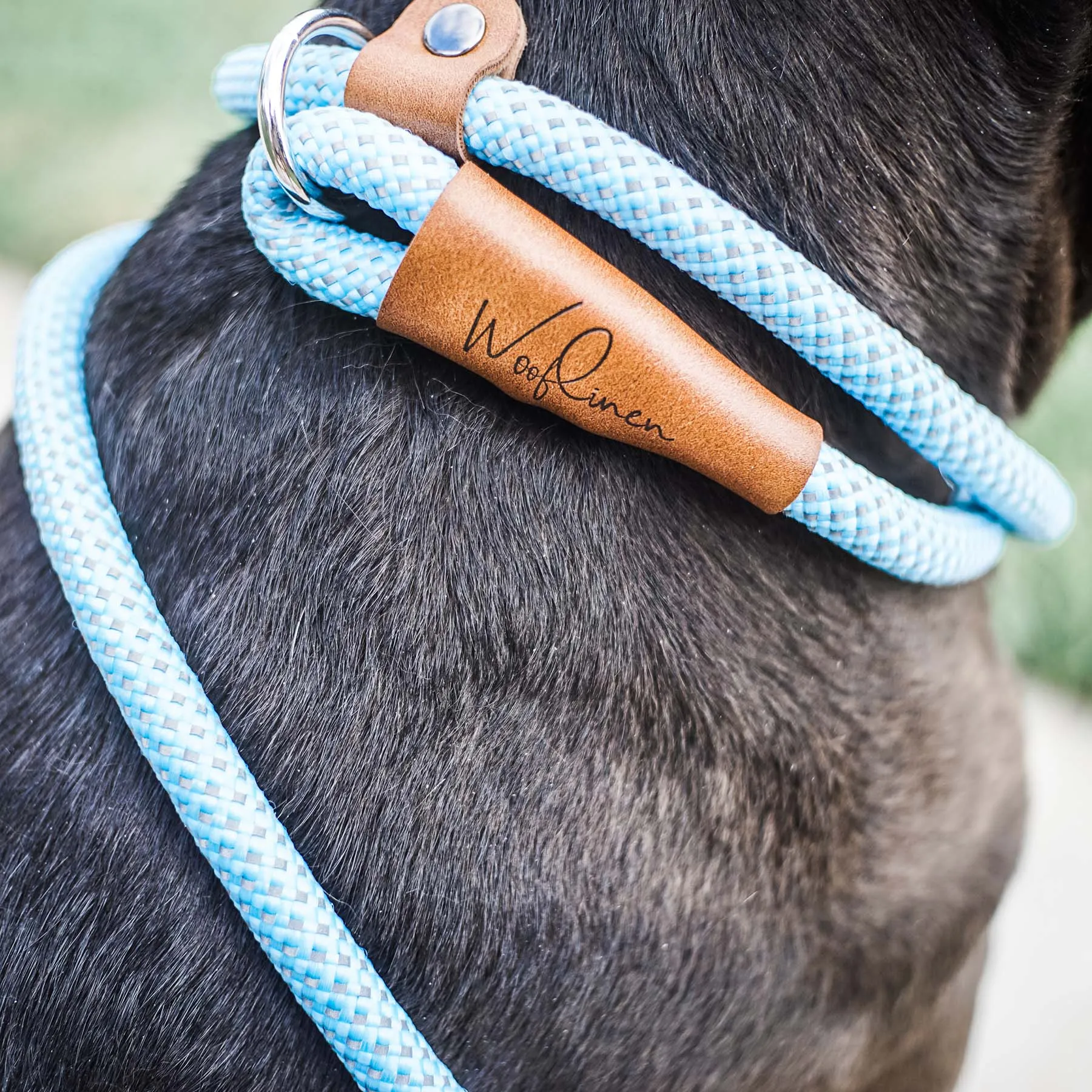 Ultra Reflective 6' Dog Slip Leash