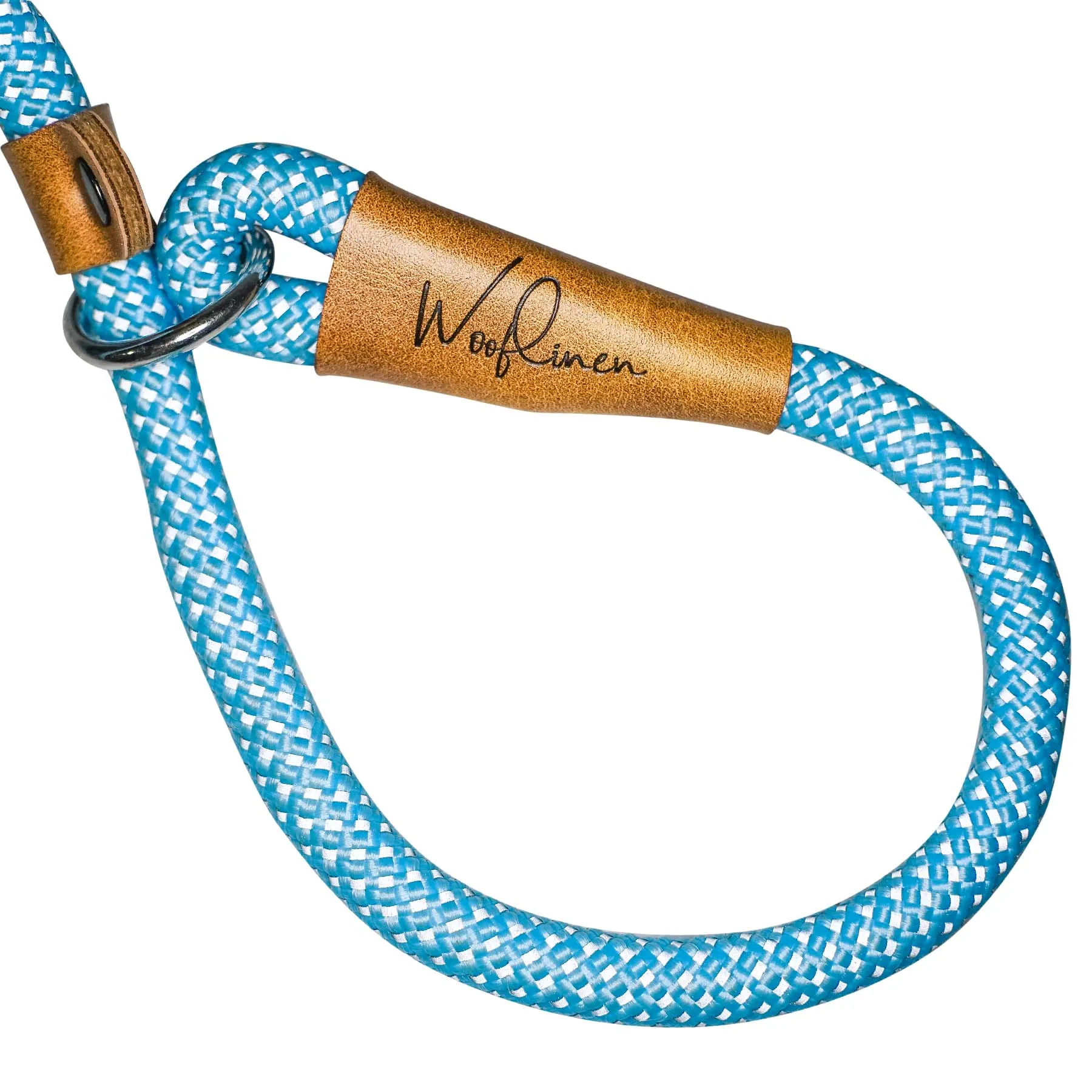 Ultra Reflective 6' Dog Slip Leash
